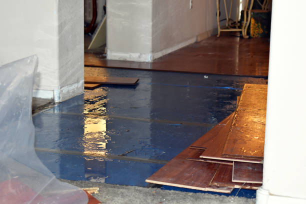Professional Basement Flood Cleanup technician working in Lyburn, WV